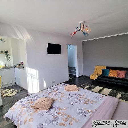 ~Fantastic Studio Petrosani~ Apartment ภายนอก รูปภาพ