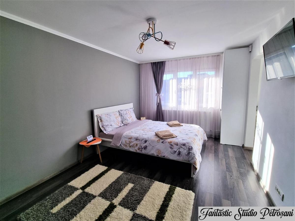 ~Fantastic Studio Petrosani~ Apartment ภายนอก รูปภาพ